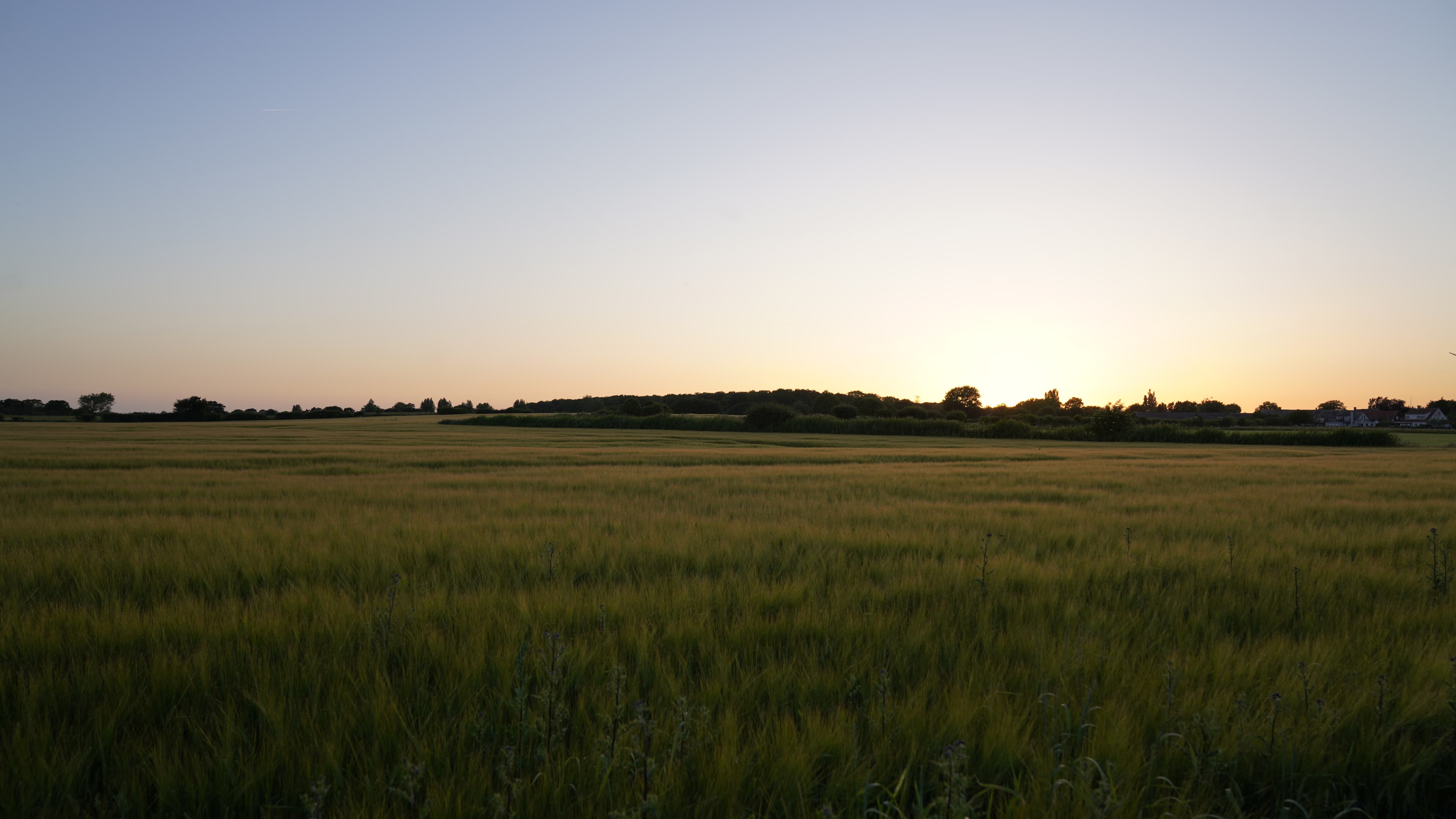 The fields at sunset