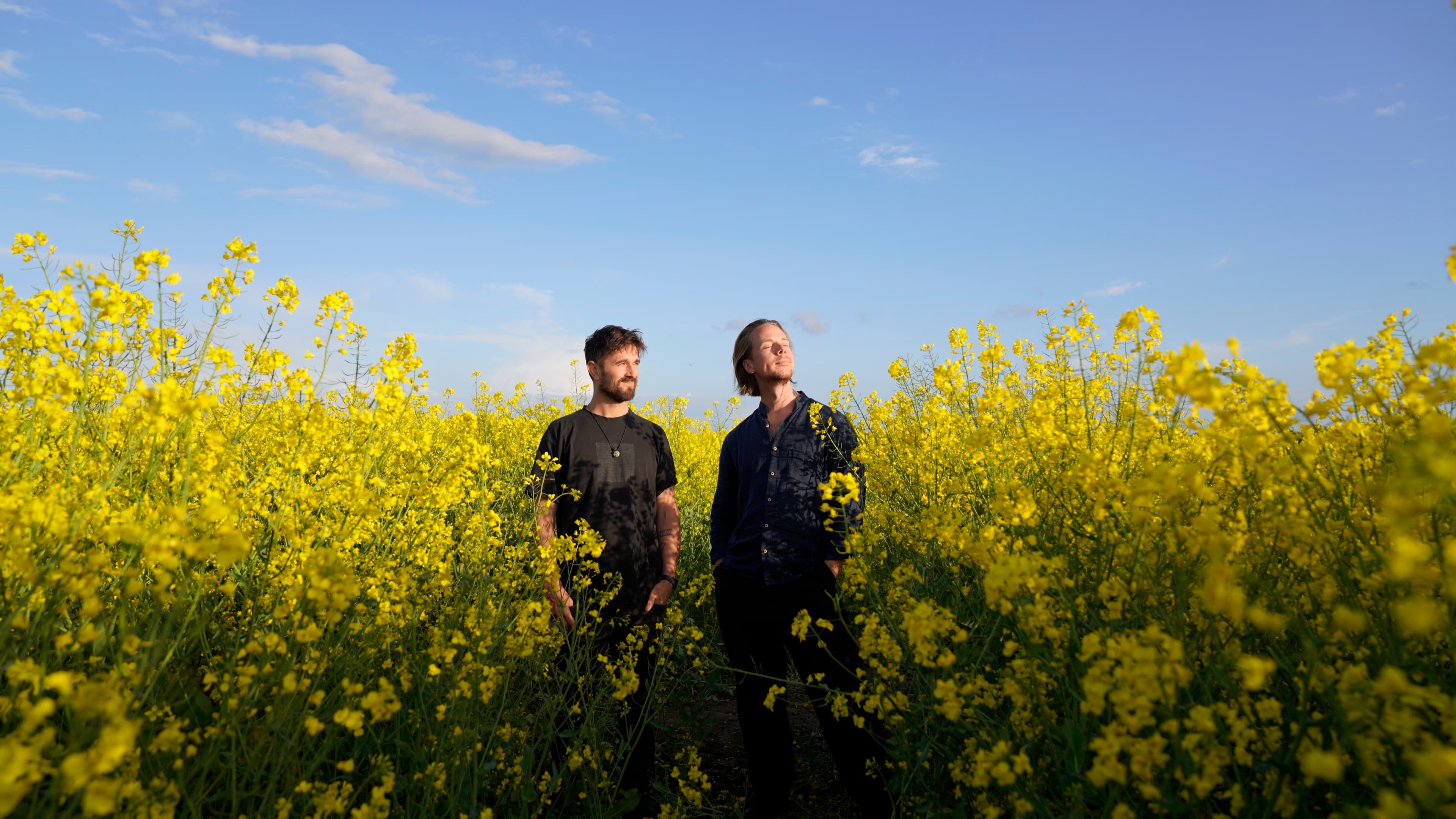 In the rapeseed field at Vårø Contemporary: Simon Glöde and Todd James between recording sessions.